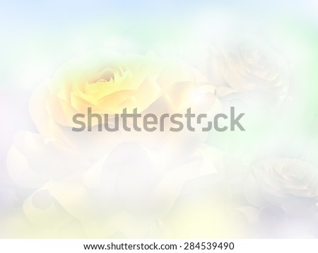 bouquet of yellow roses soft blur background in vintage pastel tones