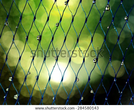 blue net and green background