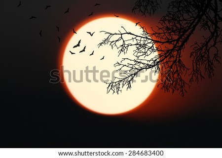 Halloween background. bat forest with full moon and dead trees.