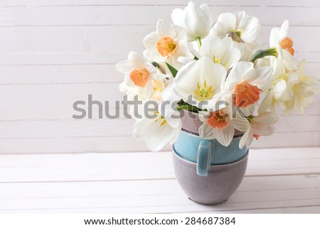 Background with fresh spring  pink daffodils  and white tulips flowers in vase  on white wooden planks. Selective focus. Place for text.