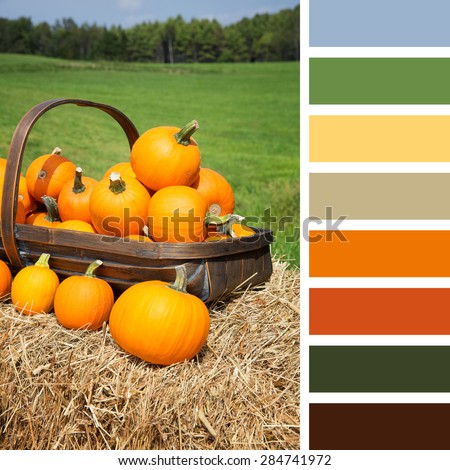 Pumpkins for sale, displayed in a trug on hay bales, In a colour palette with complimentary colour swatches.