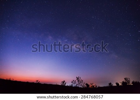 Silhouette of tree and beautiful milkyway on a night sky. Long exposure photograph.