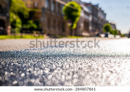 City on a sunny day, a quiet street after rain with trees and cars. View from the level of asphalt