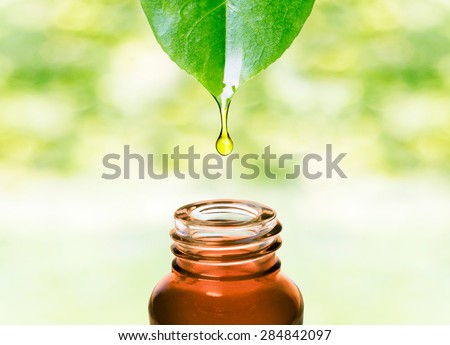 Herbal essence. Alternative healthy medicine. Skin care. Essential oil or water dropping from fresh leaf to the bottle.  Royalty-Free Stock Photo #284842097