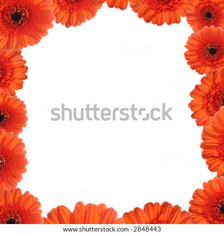 Red gerbera as a picture frame. Picture was made in a studio.