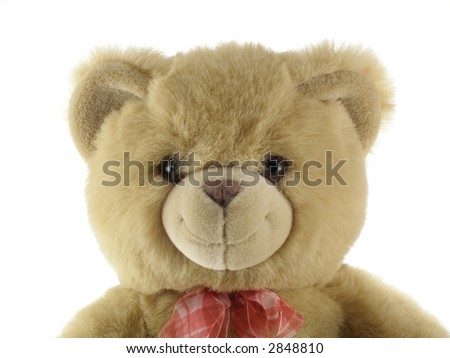 Teddy bear portrait isolated over white background