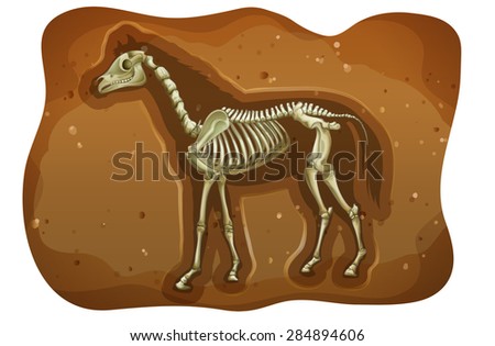 Fossil of extinct animal under the earth