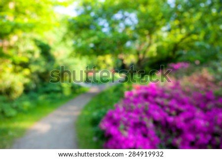 Blurred image of a sunny landscape with flowers and walking path. Soft green and purple colors, abstract background. 