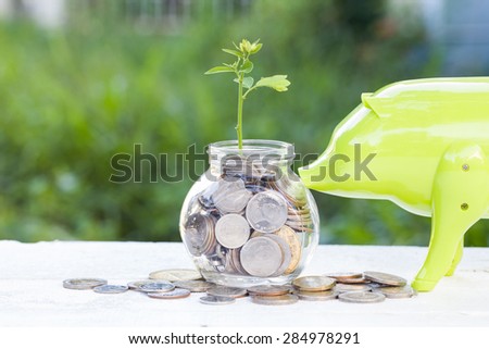 Saving money likes growing plant in a glass
