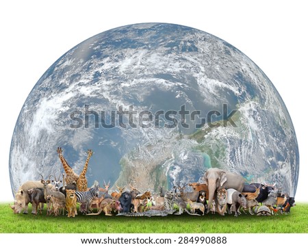 animal of the world with planet earth on white background,Element of this image are furnished by NASA Royalty-Free Stock Photo #284990888
