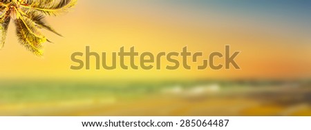 Coconut palm tree over sunset beach. Tropic banner design background. Panoramic view.