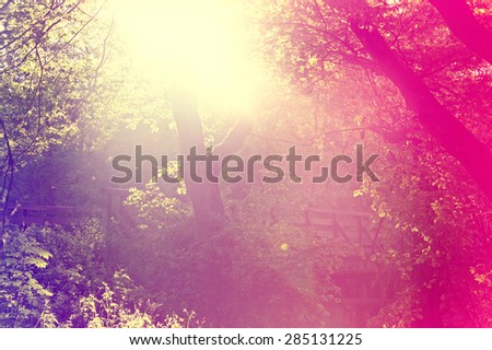 Abstract sunburst vintage summer background. Blurred instagram vintage forest.