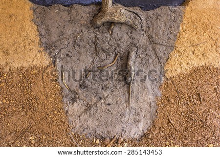 Tree root in the soil for design and background.