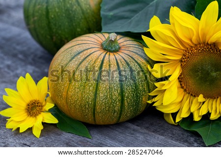 Fresh pumpkins decorated  sun flower on wooden table, selective focus, close up