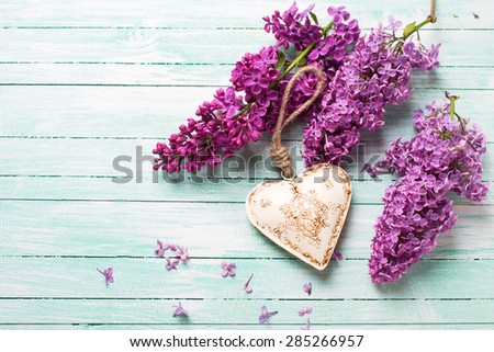 Background  with fresh lilac flowers and  decorative heart  on turquoise painted wooden planks. Selective focus. Place for text. 
