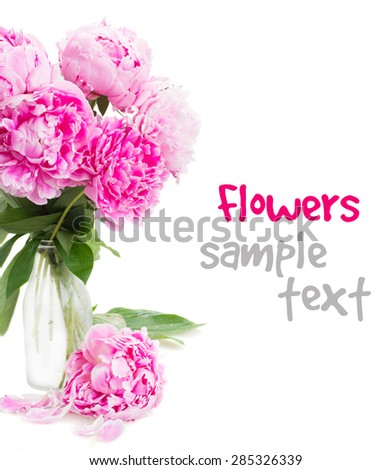  pink   peony flowers in vase close up  isolated on white background