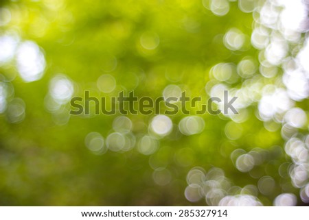 Natural green blurred background.