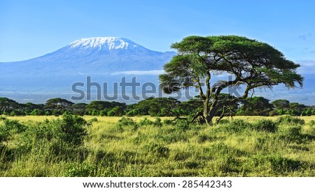 Mount Kilimanjaro in Kenya Amboseli National Park Royalty-Free Stock Photo #285442343