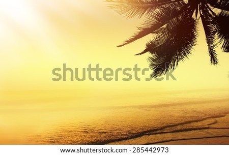 Golden tropical banner background. Coconut palm tree silhouette over the ocean. 