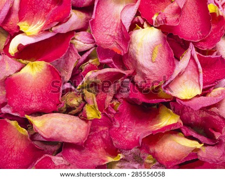 dried rose petals texture for background