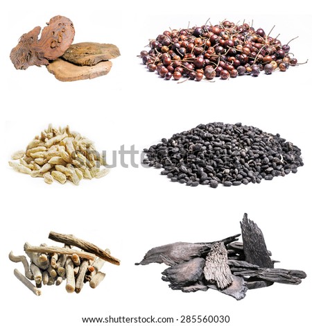 Assortment of Dried Chinese herbs used in alternative medicine isolated on white background.