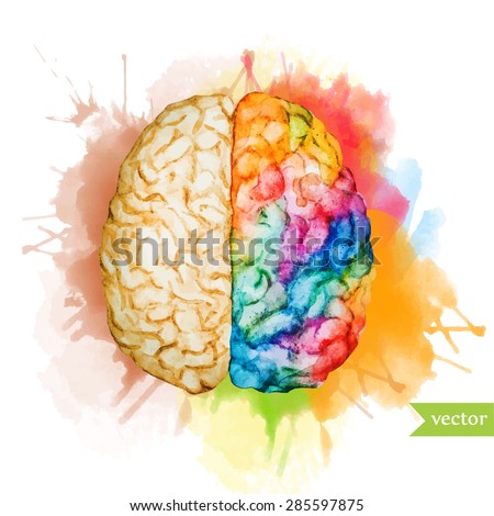 watercolor vector illustration colored brain, two different hemispheres on the background of bright spots