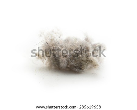 Common house hold dust, high magnification macro, isolated on white.?Shallow depth of focus. Royalty-Free Stock Photo #285619658