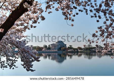 Jefferson Memorial during the Cherry Blossom Festival. Washington, DC