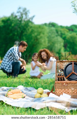 Picture if a wicker basket for picnic sandwiches and apples on a plaid on a green grass, happy family enjoying warm weather on a background, selective focus