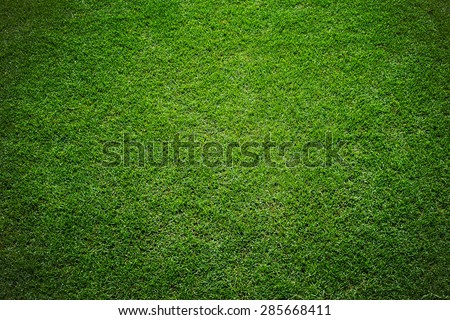 grass of stadium background