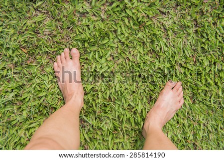 Bare female feet on the green grass