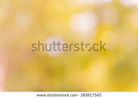natural bokeh and blur background