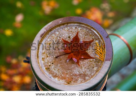 Japanese maple leaf under water on a bamboo