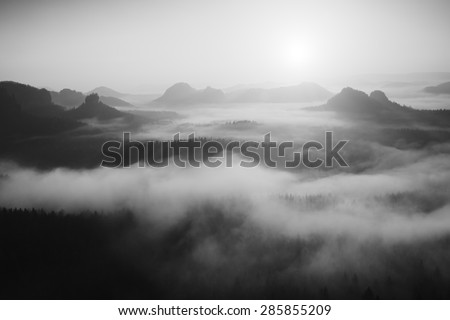 Misty daybreak in a beautiful hills. Peaks of hills are sticking out from foggy background. Black and white photo.