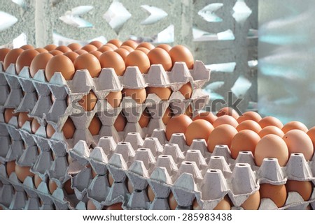 Chicken eggs in egg tray Royalty-Free Stock Photo #285983438
