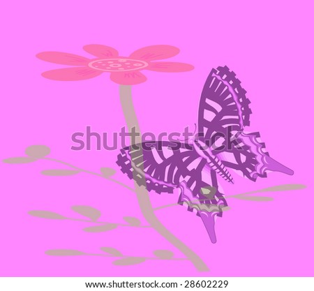Nice Butterfly background