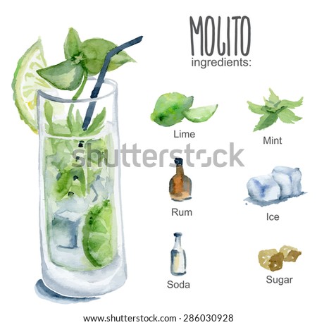 Mojito with ingredients. Vector watercolor illustration.