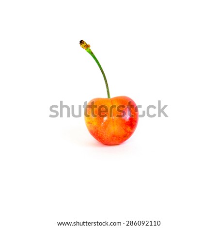 A single Rainier cherry on isolated white background. Rainiers are sweet cherries with a thin skin and thick creamy-yellow flesh. Copy space.