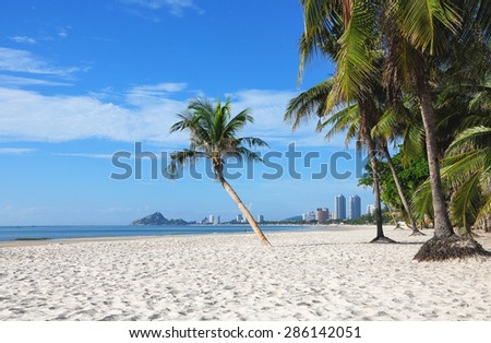 Coconut palm and white sand on the beach,Hua Hin beach Thailand. Royalty-Free Stock Photo #286142051