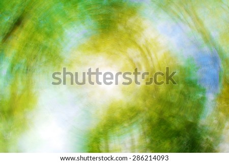 Abstract photo with forest in the sun