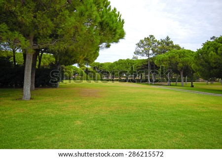 Beautiful landscape picture with lawn and pine trees on a golf resort, Portugal