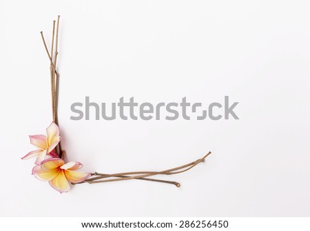 Fresh flower and dry branch frame 
