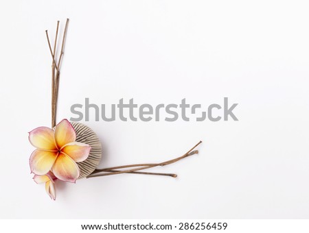 Fresh flower vase and dry branch frame 
