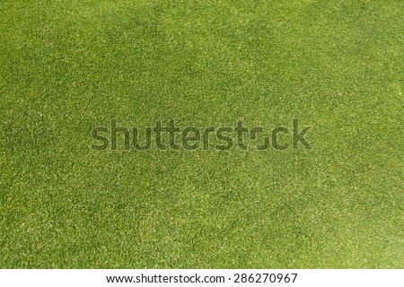 Golf green grass background on a bright day Royalty-Free Stock Photo #286270967