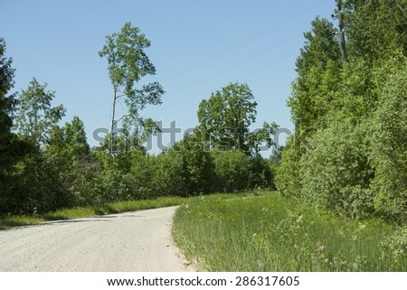 Country sandy road and green trees in countryside