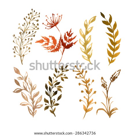 Vector Set of flowers painted in watercolor on white paper. Sketch of flowers and herbs. 