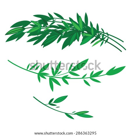 Tree branches with green leaves - nature