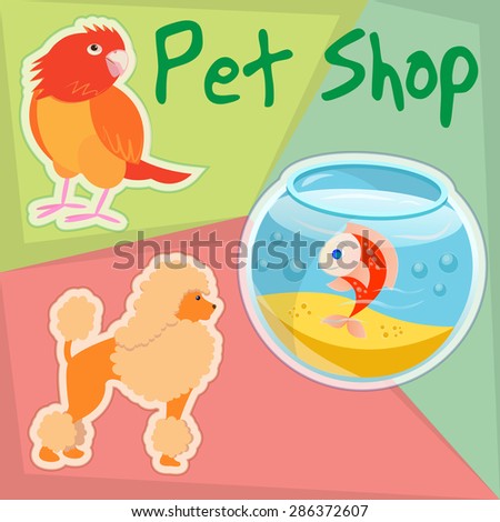 Vector illustration. Pet Shop concept. Parrot, Poodle and Gold Fish in Pet Shop