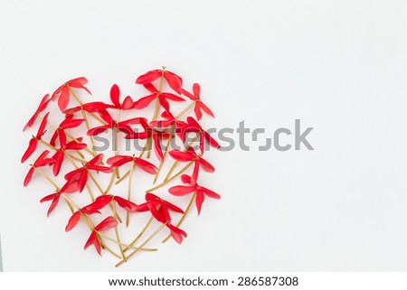 Red heart shaped  flowers on white background