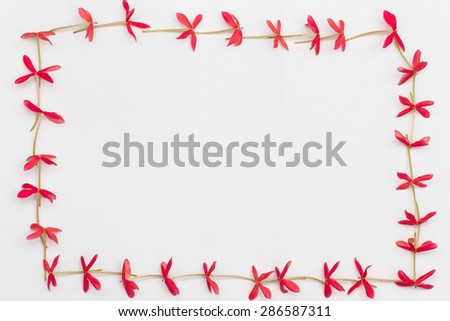 Pink flowers formed as frame on white background